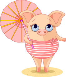 pig vector image