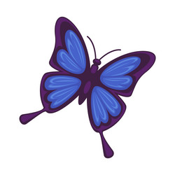 blue butterfly isolated on white background vector image