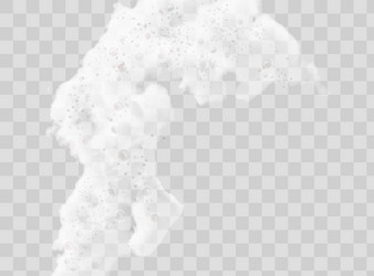 beer foam isolated on transparent background vector image