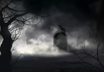 raven on gravestone at old cemetery vector image