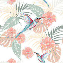 tropical plants hibiscus and colibri bird vector image