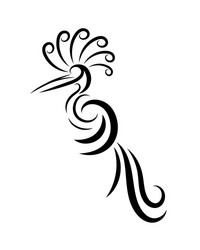 line art logo abstract bird vector image