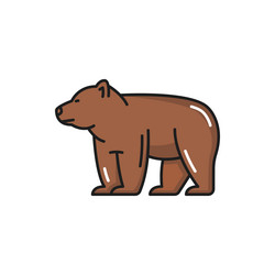 bern bear brown swiss animal isolated line icon vector image