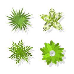 top trees and bushes landscape green elements vector image