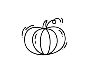 isolated monoline contour pumpkin on white vector image