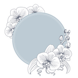 orchid phalaenopsis flower branch bouquet wreath vector image