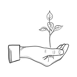 human hand with a young sprout line art vector image