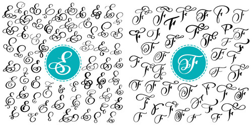 set letter e f hand drawn flourish vector image