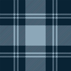 blue tartan plaid seamless pattern vector image