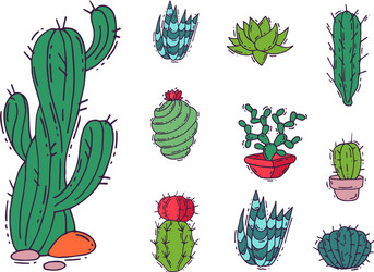 cactus home nature of green vector image