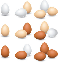 egg set on a white background vector image