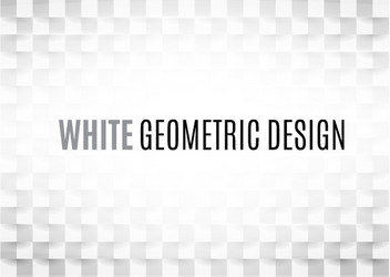 beautiful white abstract texture vector image