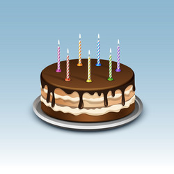 birthday cake with candles numerals vector image