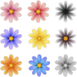 pattern flower five petal set vector image