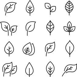 leaf line icon set vector image