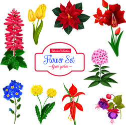 flower garden flowering plant isolated icon set vector image