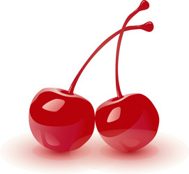 cocktail cherry isolated vector image