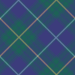 seamless tartan pattern vector image