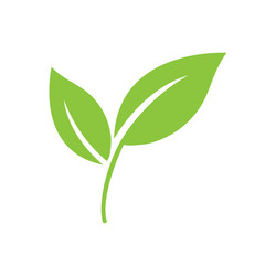 Green leaf eco icon flat vector