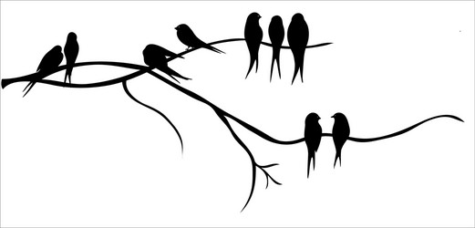 Birds on a tree branch vector