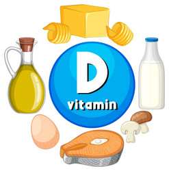 educational group of food containing vitamin d vector image