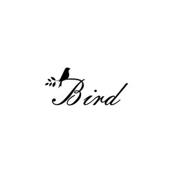 Bird logo design template vector