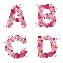 spring alphabet with cherry flowers abcd vector image