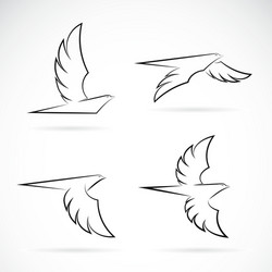 group of an eagle design vector image