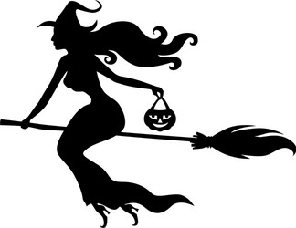 witch beauty vector image