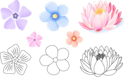 pink lotus periwinkle forget-me-not pattern vector image