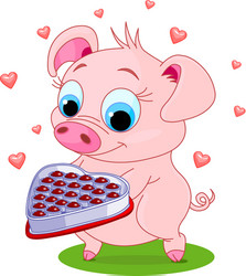 love pig vector image