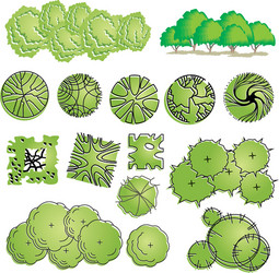 different plants and trees set for architectural vector image