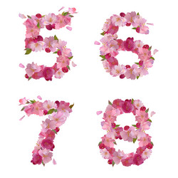 spring font from cherry flowers figures 5678 vector image