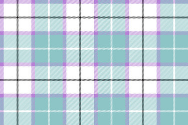 blue white tartan plaid baby color seamless vector image