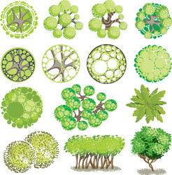 different plants and trees set for architectural vector image