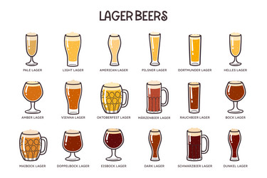 lager beer icon set vector image