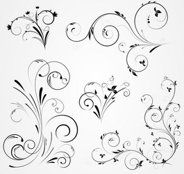 floral set vector image