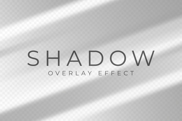 shadow overlay effect transparent soft light vector image