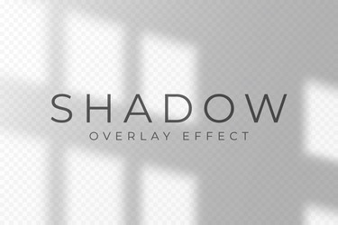 shadow overlay effect transparent soft light vector image