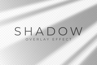 shadow overlay effect transparent soft light vector image