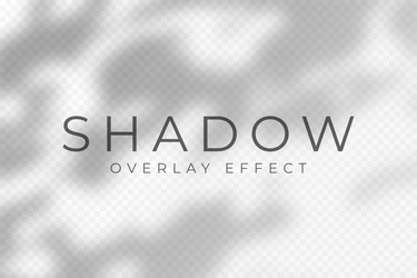 shadow overlay effect transparent soft light vector image