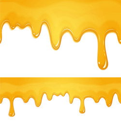 honey drips pattern vector image