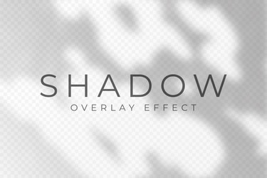 shadow overlay effect transparent soft light vector image