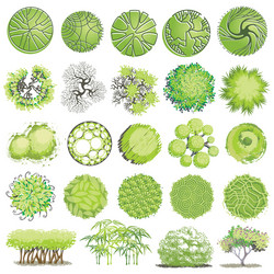 different plants and trees set for architectural vector image