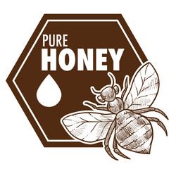 pure honey poster with bee monochrome sketch vector image