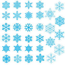 set of snowflakes vector image