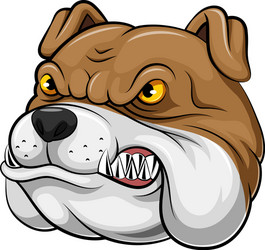 head an bulldog cartoon vector image