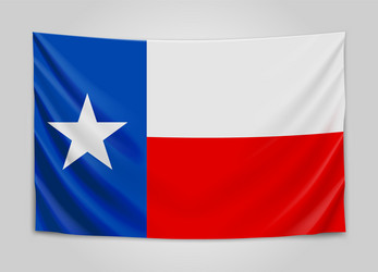 hanging flag of texas state concept vector image