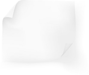 white paper sheet with curved corners vector image