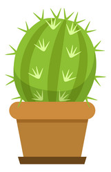 cactus in flowerpot cute cartoon green house vector image